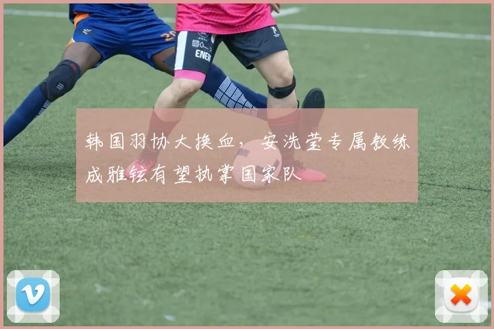 韩国羽协大换血，安洗莹专属教练成雅铉有望执掌国家队